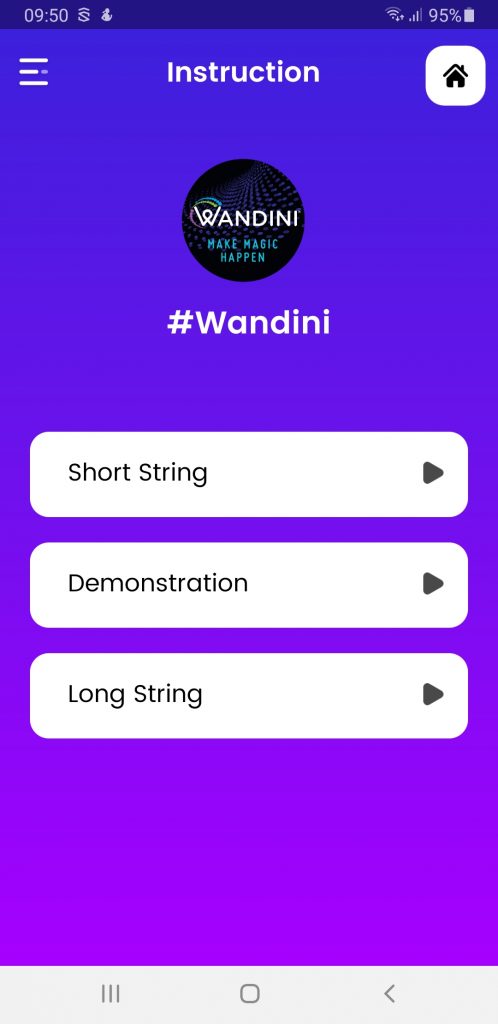 Wandini